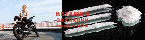 прущие грибы Мегион