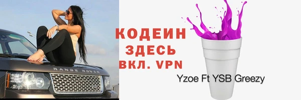 дживик Медвежьегорск