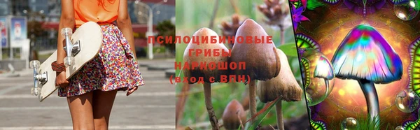 ешки Абаза
